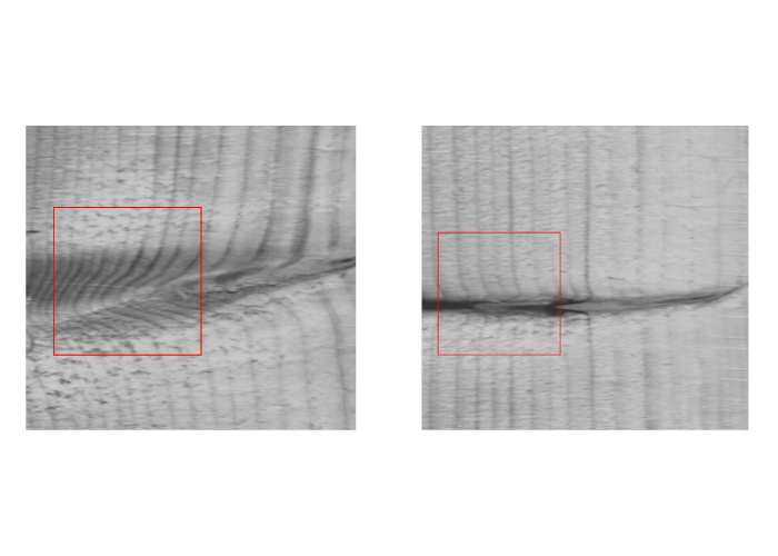 Wood Surface Defect
